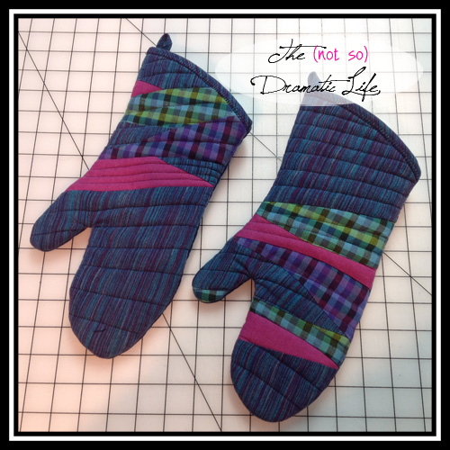 Oven Mitts - Front View