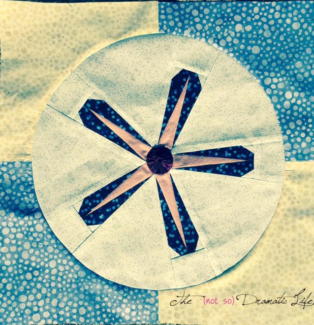 Sand Dollar Star