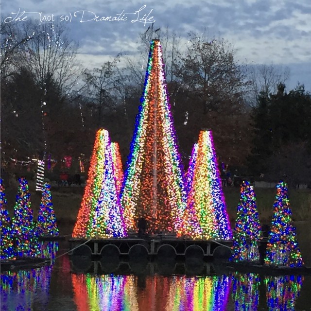 Light Trees on the Lake