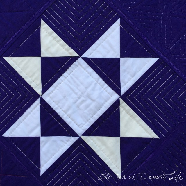 Charity Quilt 2018 detail 5